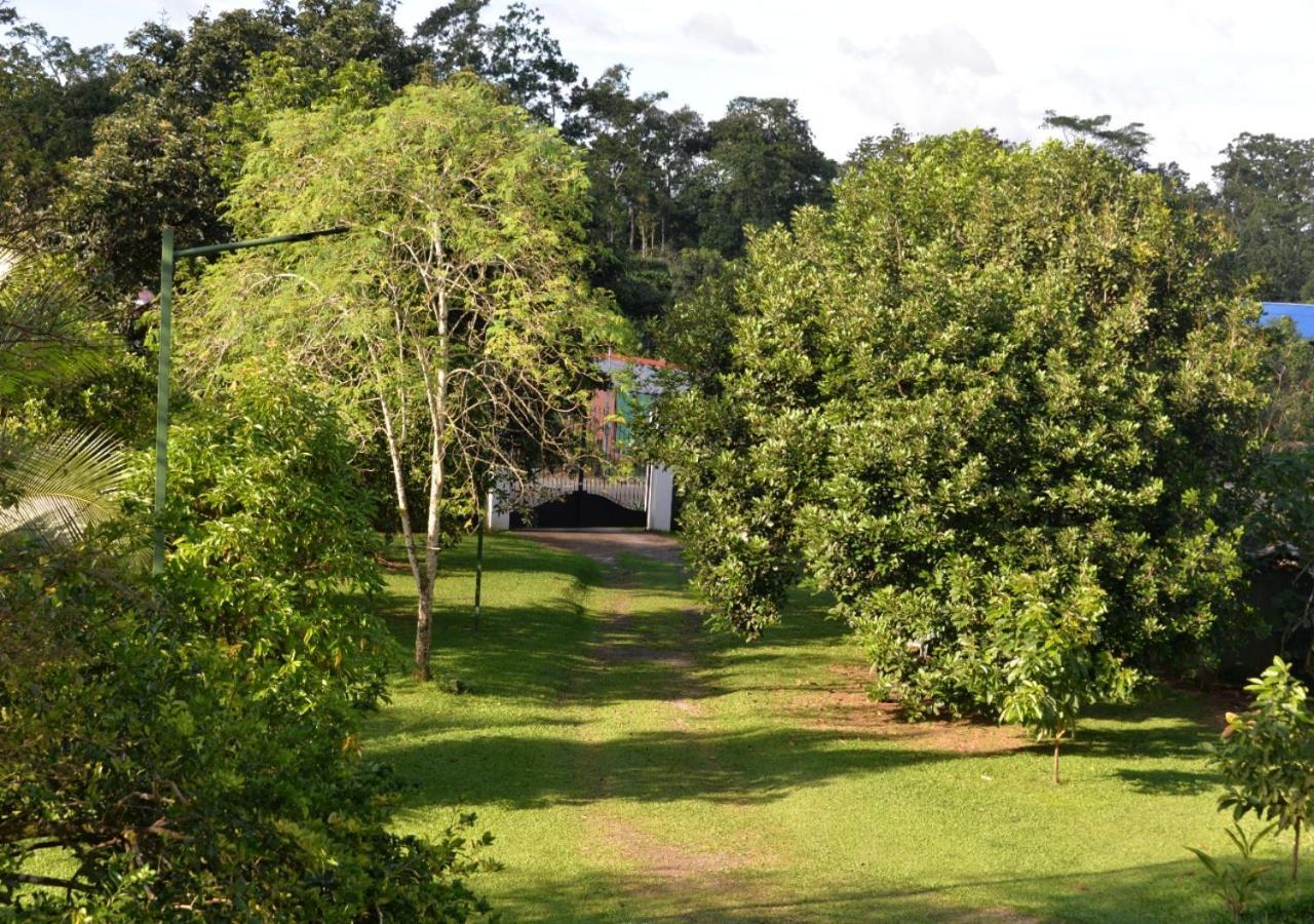 Вілла Casa Kamagu La Fortuna Екстер'єр фото
